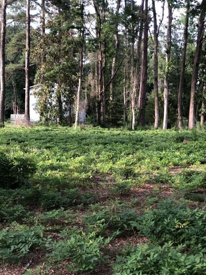 Property Photo: Tbd Horseshoe Circle SC 29527