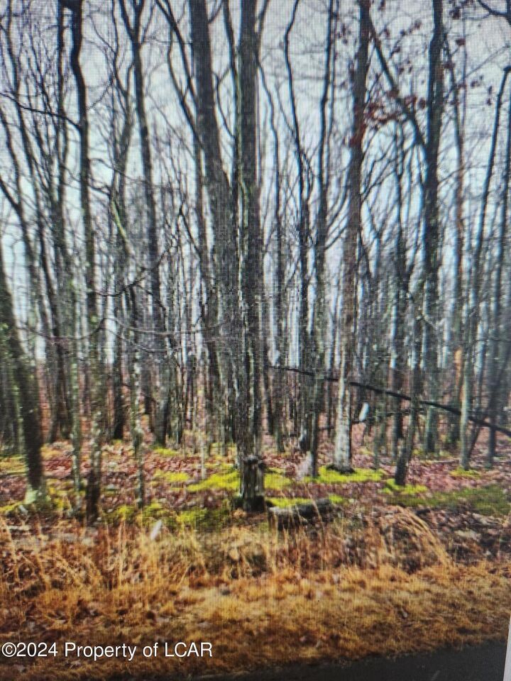 Property Photo: 179 Wichita Lane PA 18202