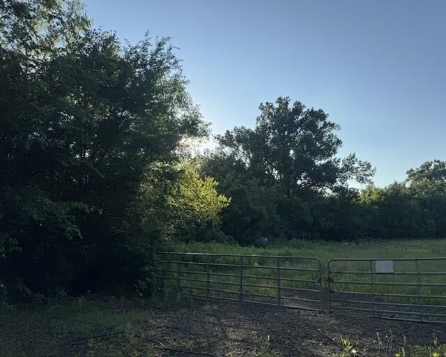 Property Photo: Tbd Richardson Road TX 75954
