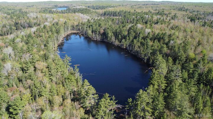 Property Photo:  On Tahquamenon Truck Trail Road  MI 49868 