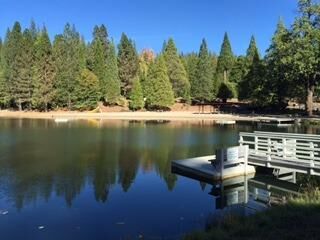 Property Photo:  1708 Bear Clover Court  CA 95223 