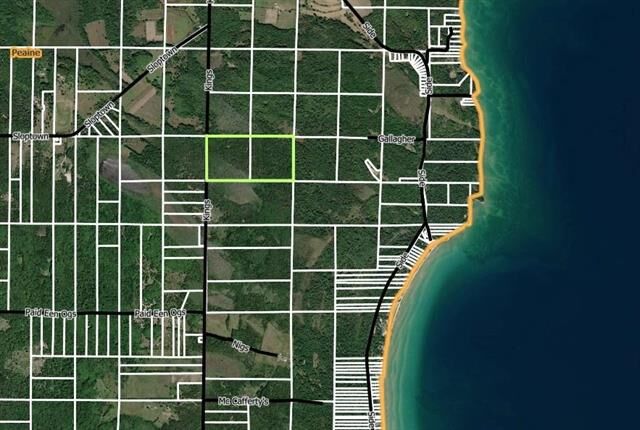 Property Photo:  Kings Highway  MI 49782 