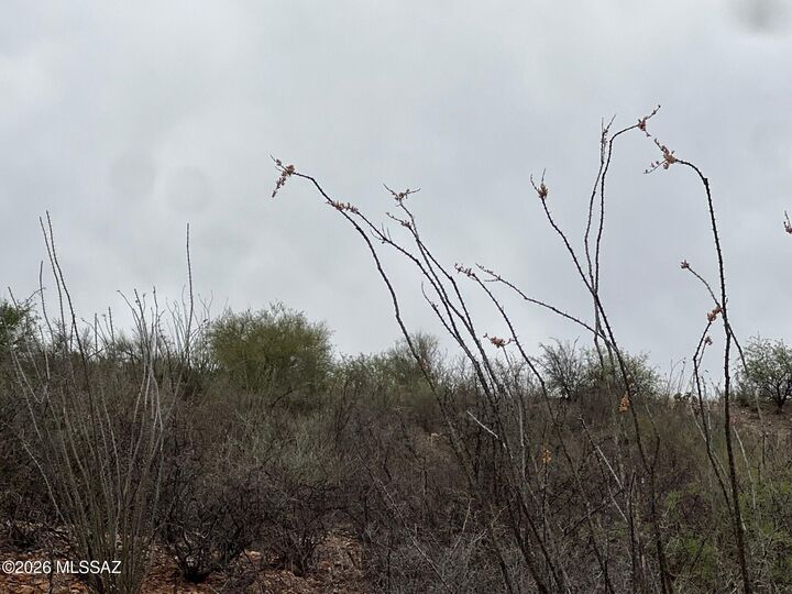 Property Photo: 1835 Camino China 3 AZ 85648