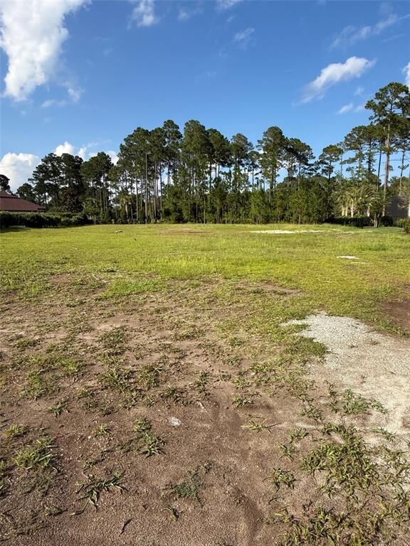 Property Photo:  95279 Amelia National Parkway  FL 32034 