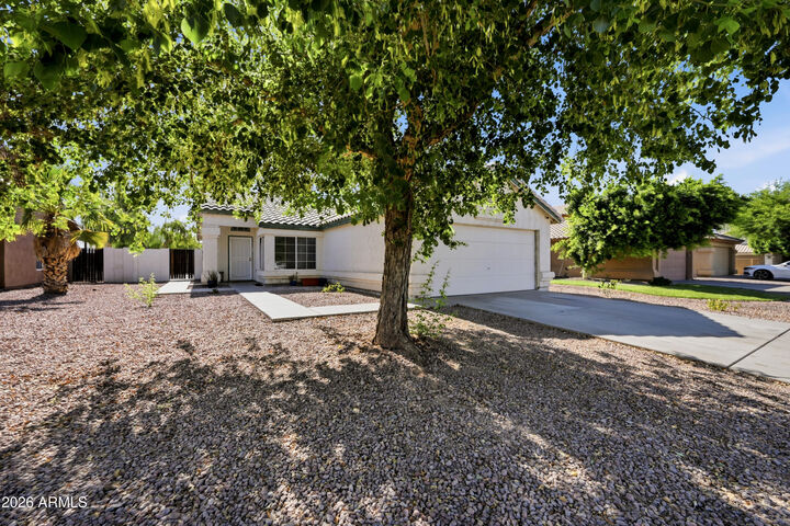 Property Photo:  256 S Springs Drive  AZ 85225 
