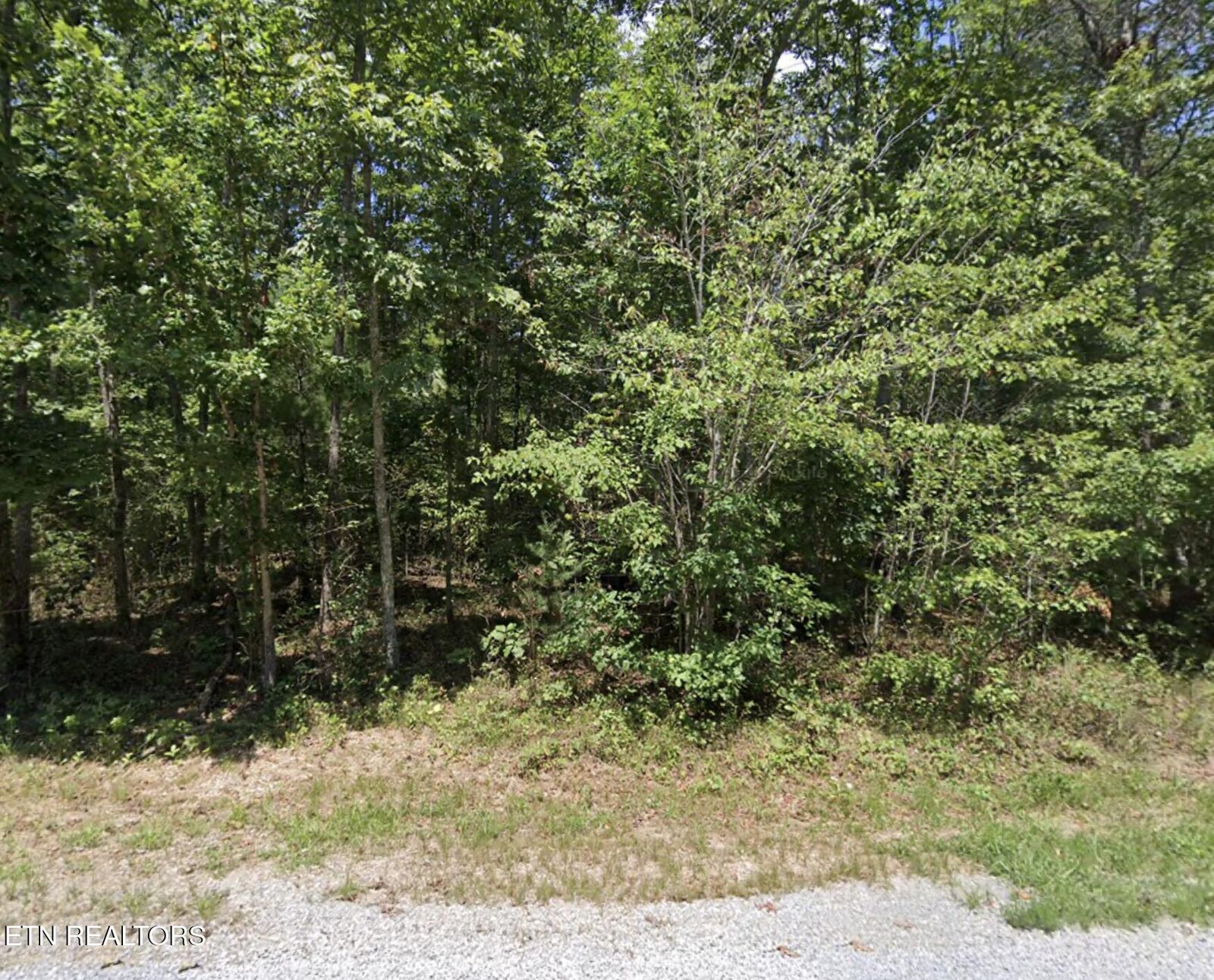 Property Photo:  8919 Cherokee Tr  TN 38572 