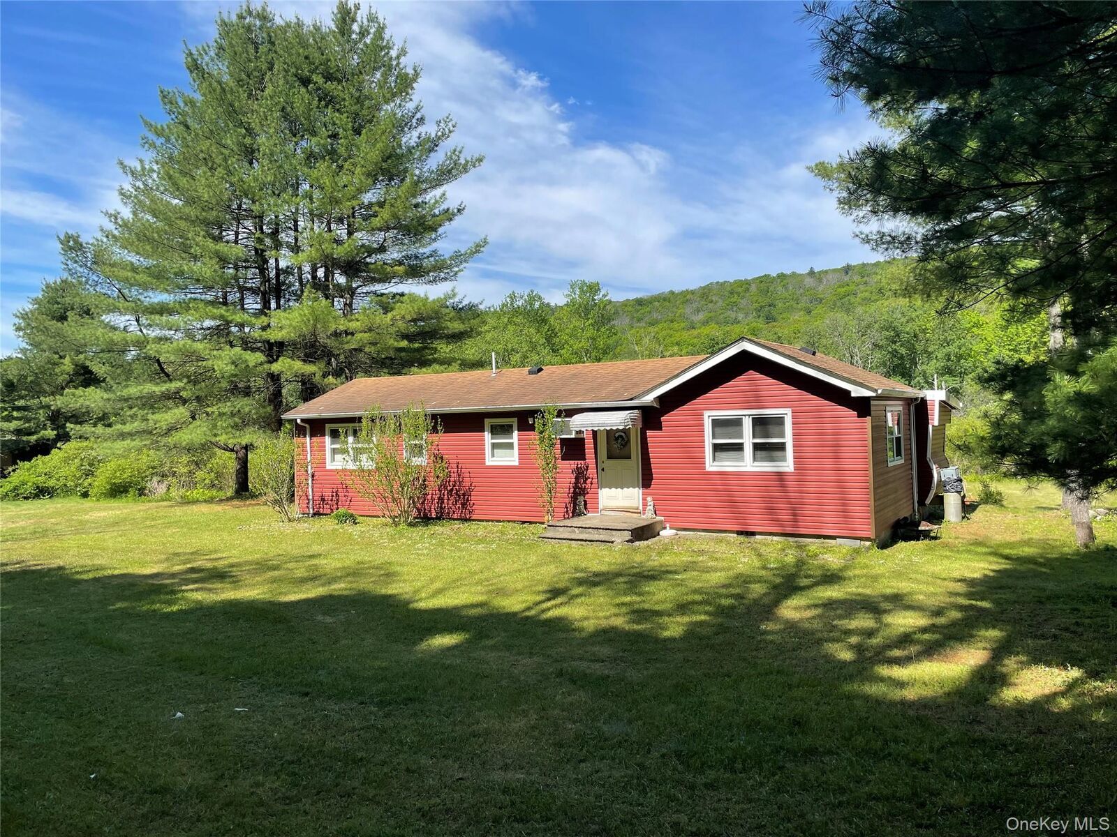 Property Photo:  163 Fire House Road  NY 12781 