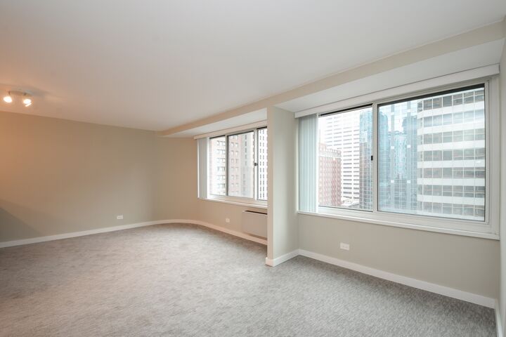 Property Photo: 211 E Ohio Street 1406 IL 60611