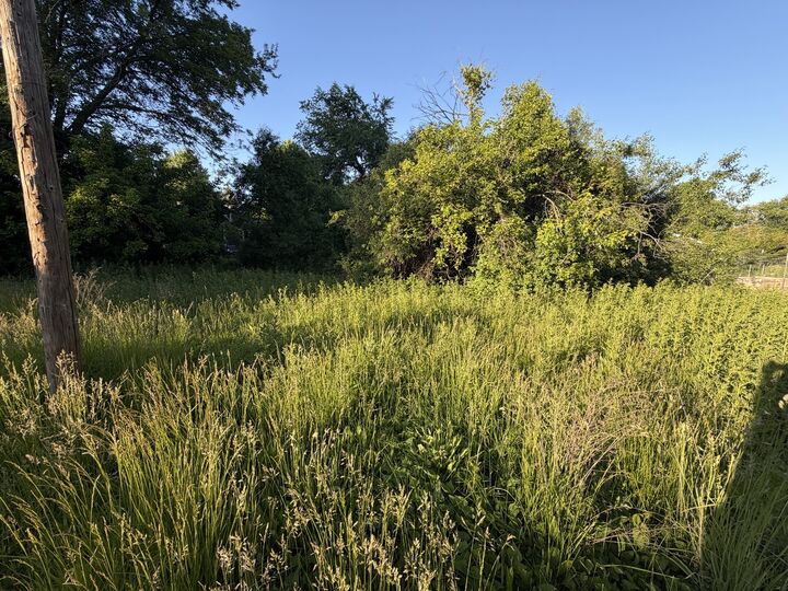 Property Photo:  911 Safford Avenue  IL 60044 