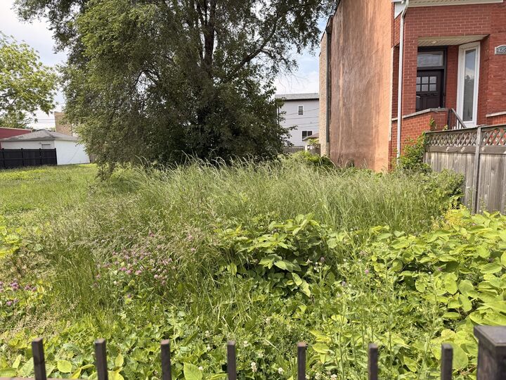 Property Photo:  4240 S Saint Lawrence Avenue  IL 60653 