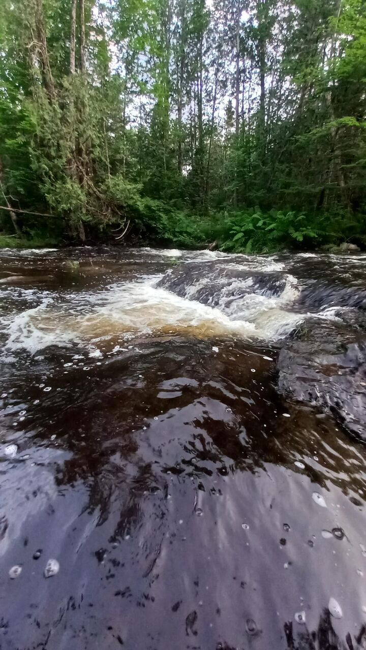Property Photo:  649 North Road  ME 04765 
