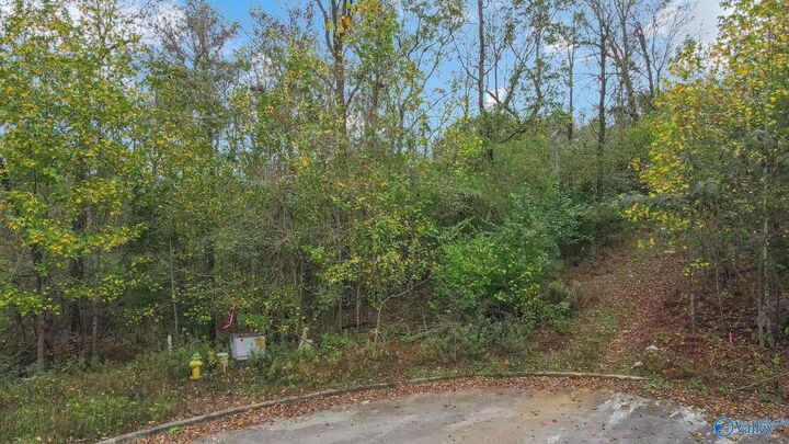 Property Photo: 4623 Legacy Preserve Way AL 35741