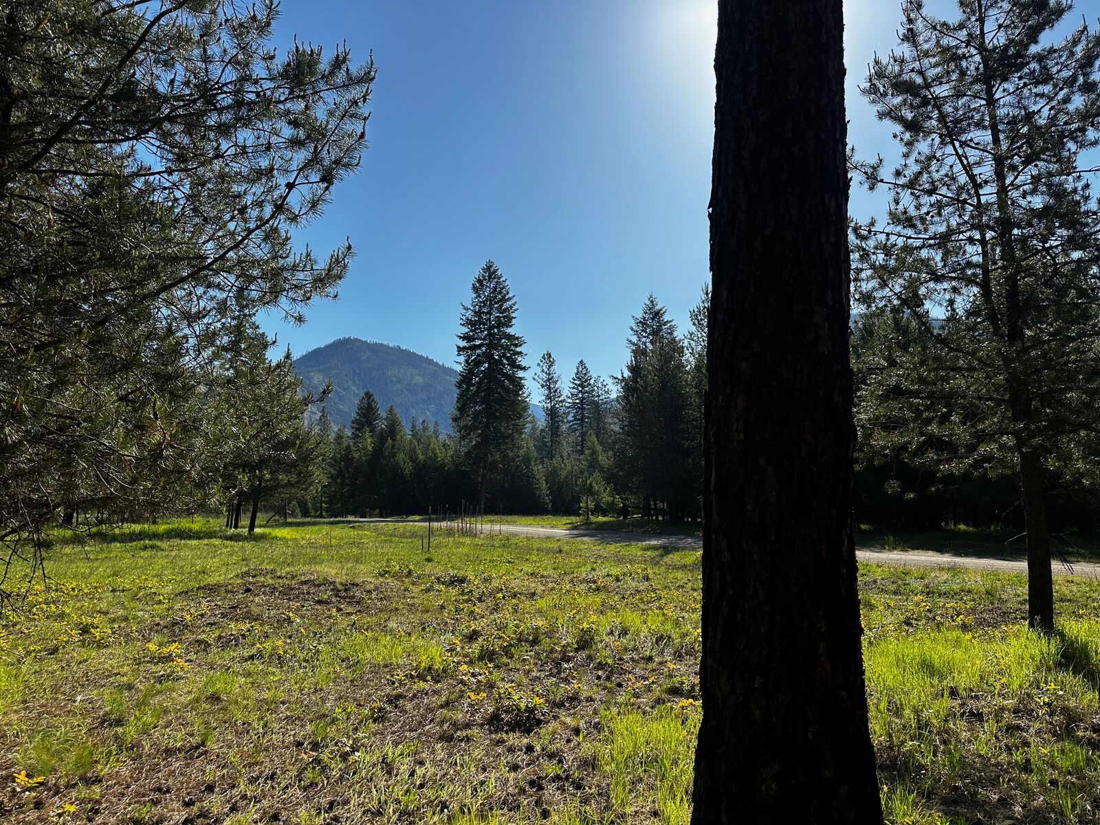 Property Photo:  Nhn Graves Creek Loop  MT 59873 