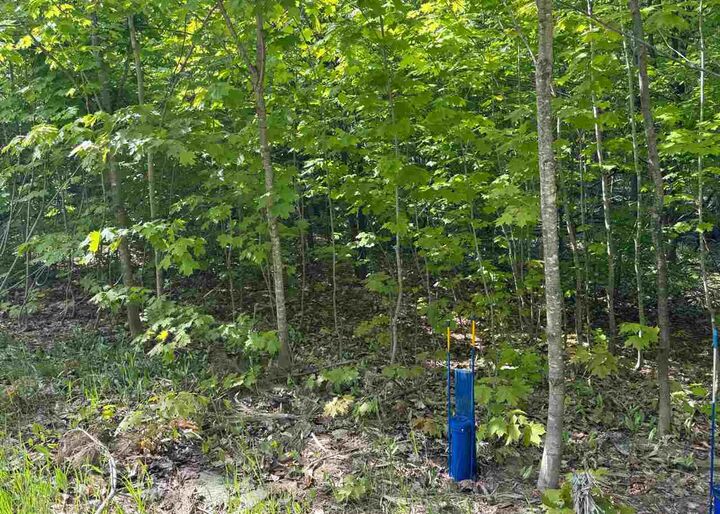 Property Photo:  1279 Walkabout #15  MI 49740 