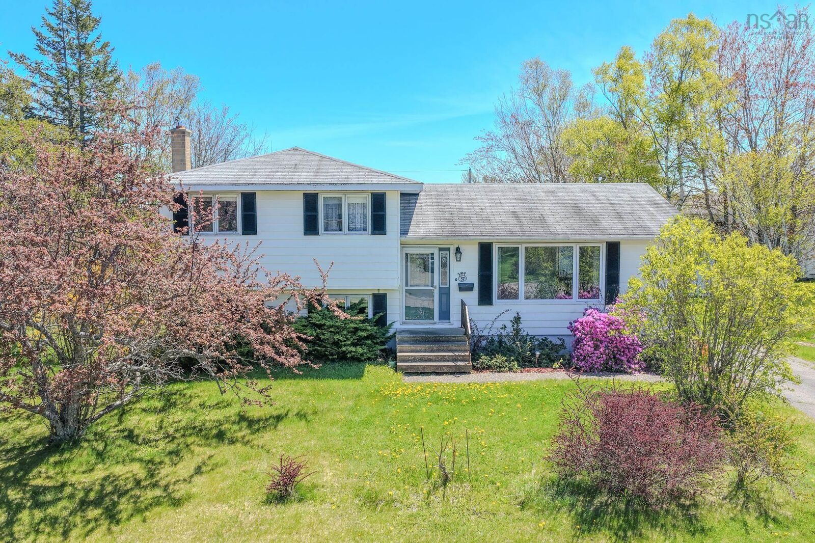 Property Photo: 37 Collier Avenue NS B1R 2H5