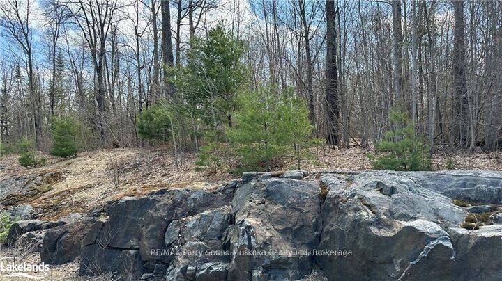 Property Photo:  593 Highway 518 N/A  ON P2A 0B2 