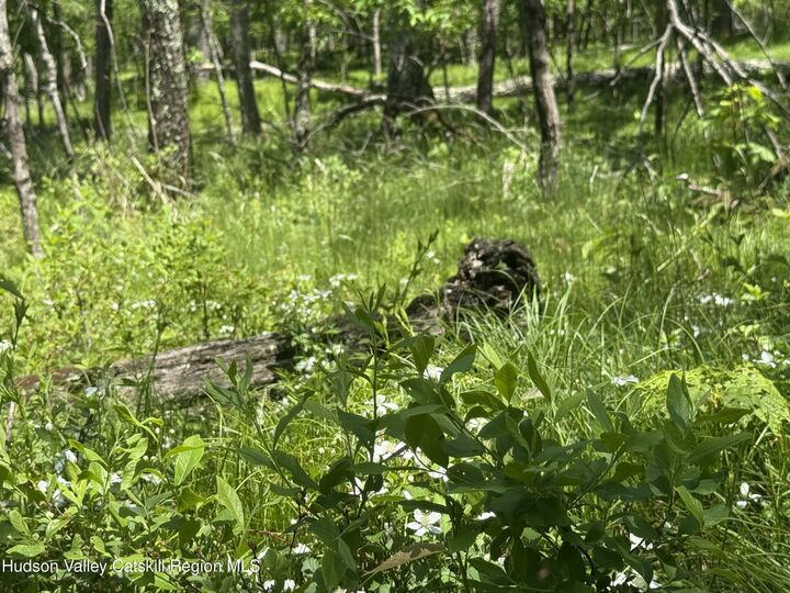 Property Photo:  338 Mossy Hill  NY 12414 