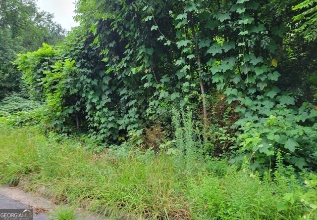 Property Photo:  1036 Walnut Creek Lane  GA 30238 