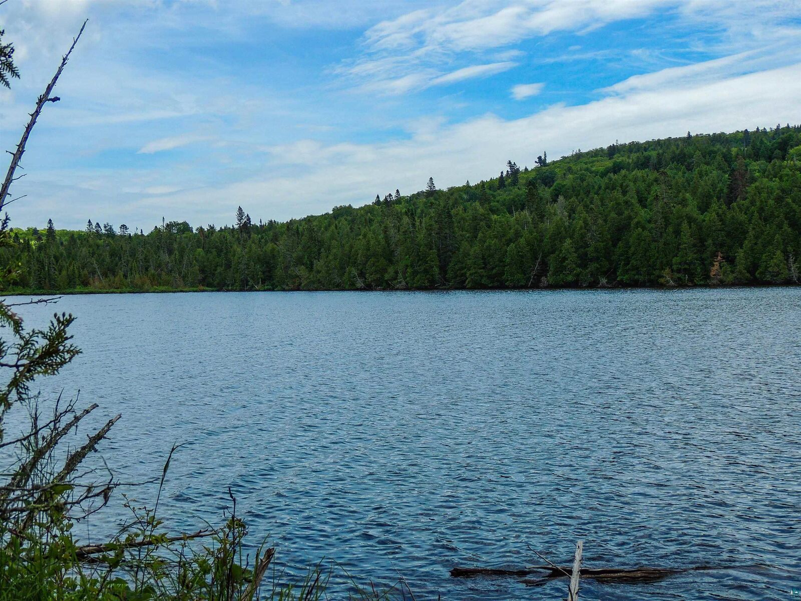 Property Photo:  210 E Deeryard Lake Rd  MN 55612 