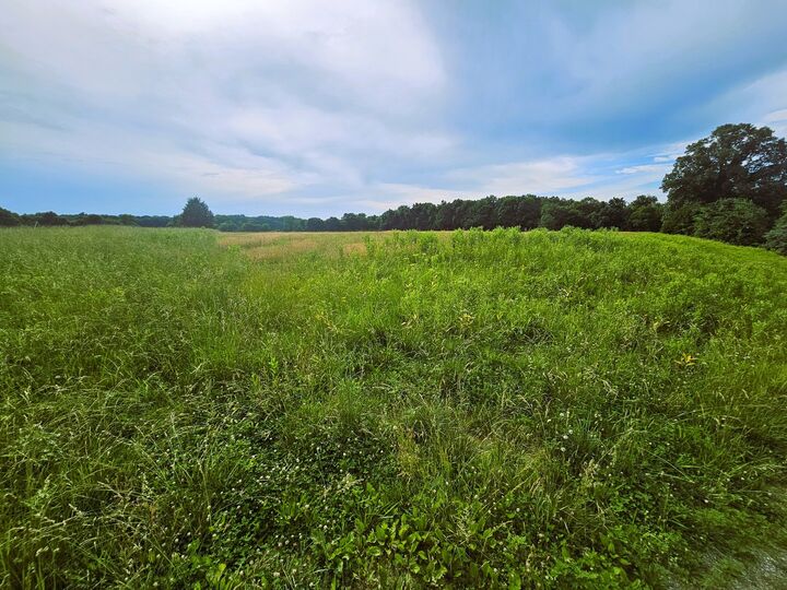 Property Photo: 0000 N Stanford Lane IL 62872