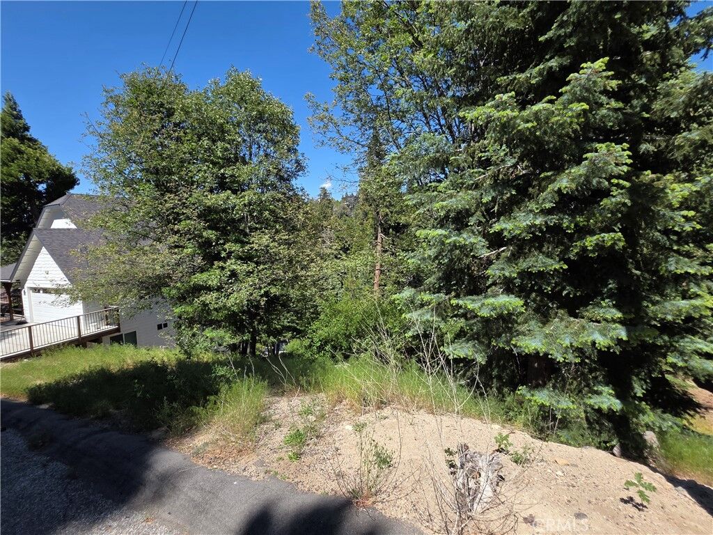 Property Photo:  0 Shenandoah Drive  CA 92352 