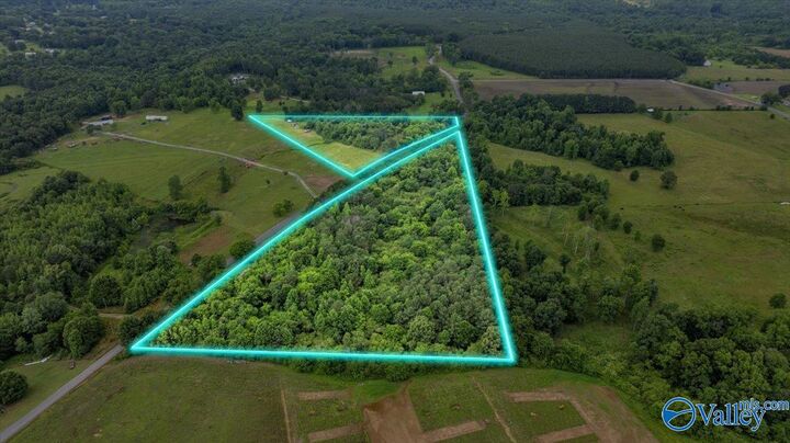 Property Photo:  1639 County Road 368  AL 35771 