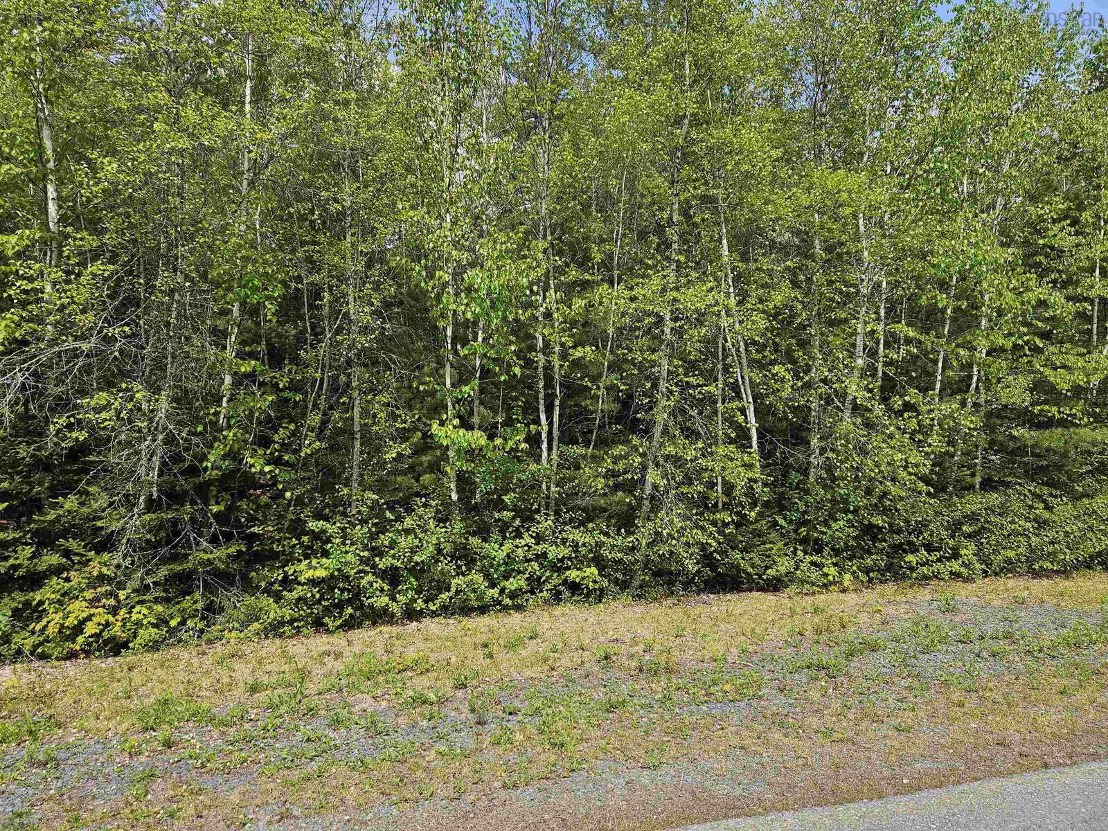 Property Photo:  30 Lake Loon Road  NS B2E 1A8 
