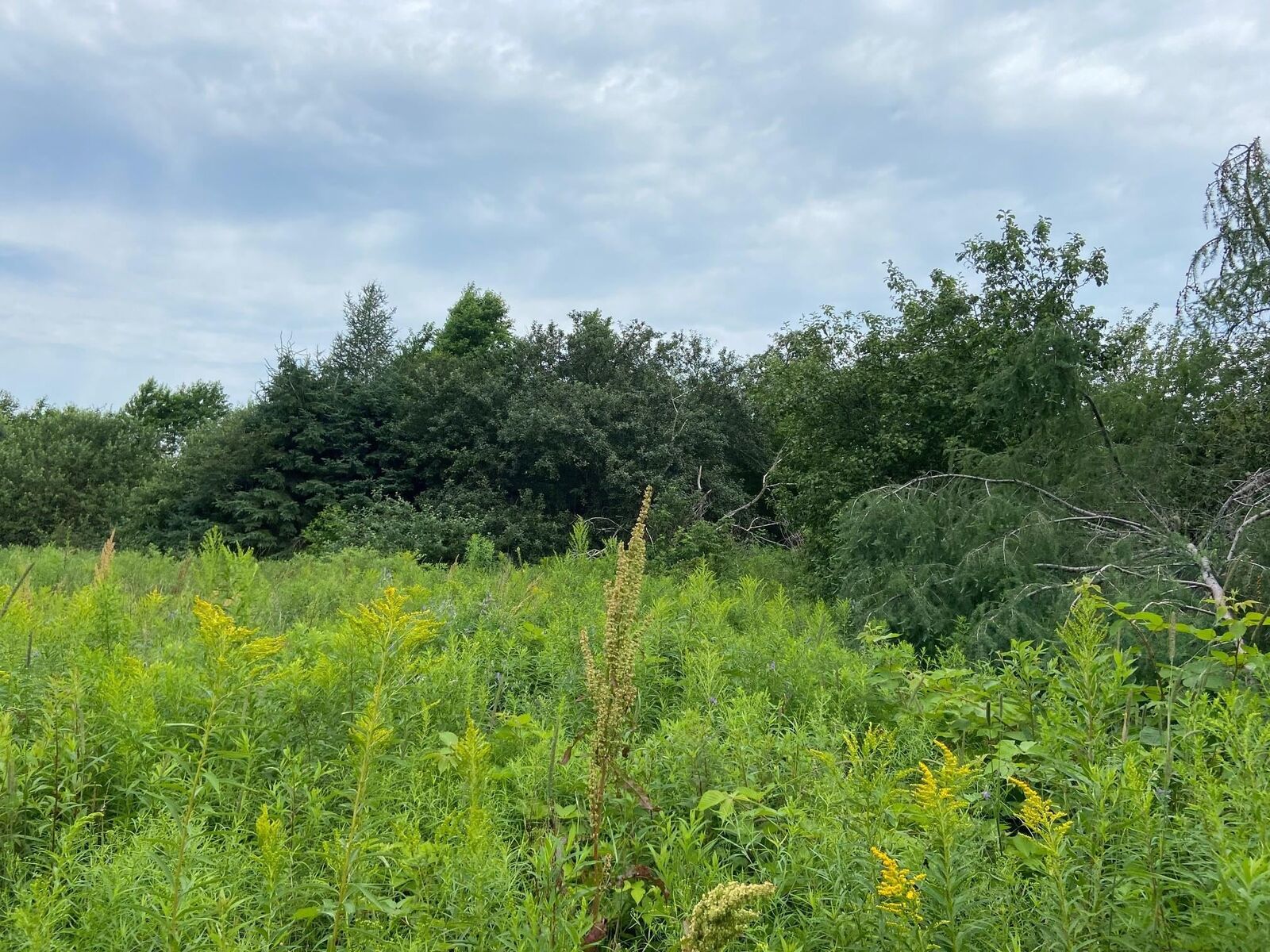 Property Photo:  Lot 22-2 Primrose Road  PE C0A 1G0 