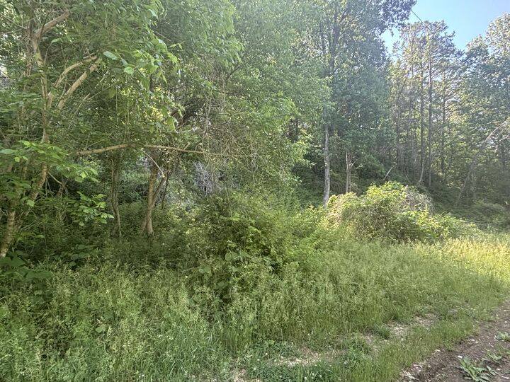 Property Photo:  00 Westover Drive SW  TN 37311 