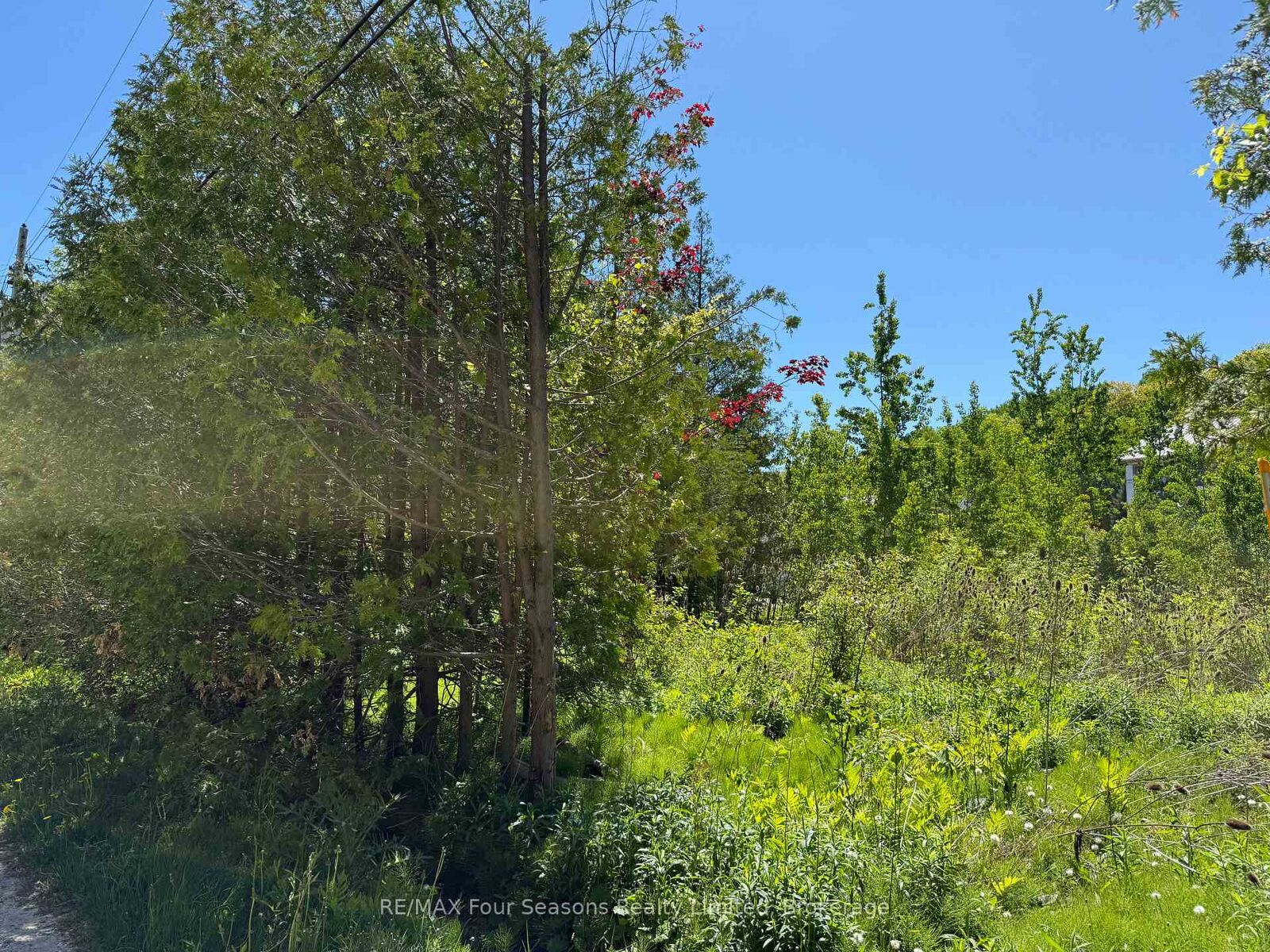 Property Photo:  122 James Street  ON L9Y 0T6 