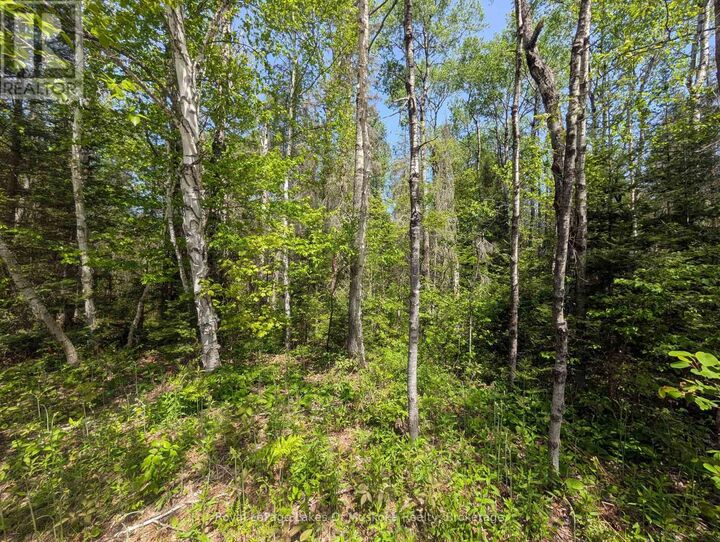 Property Photo:  10 Poplar Street  ON P0A 1X0 