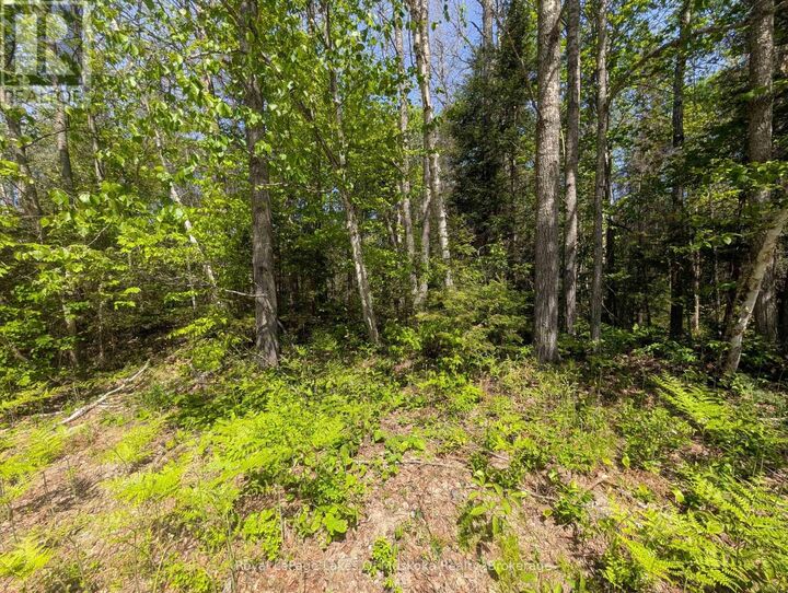 Property Photo:  12 Poplar Street  ON P0A 1X0 