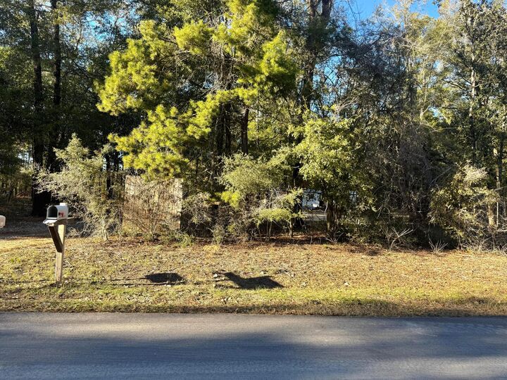 Property Photo:  25 Caswell Drive  FL 32435 