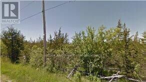 Photo de la propriété:  265 Craigen Road  ON K0K 2S0 