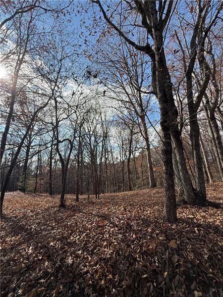 Property Photo:  0 Orchard Road  GA 30143 