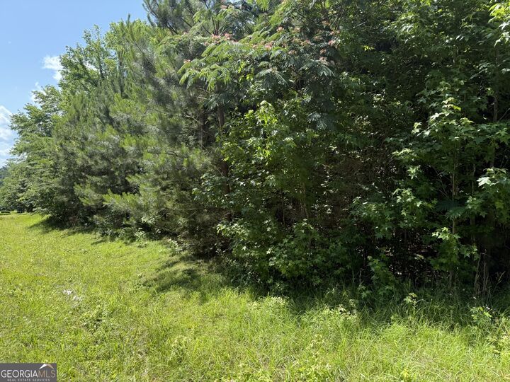 Property Photo:  1425 River Road  GA 31830 