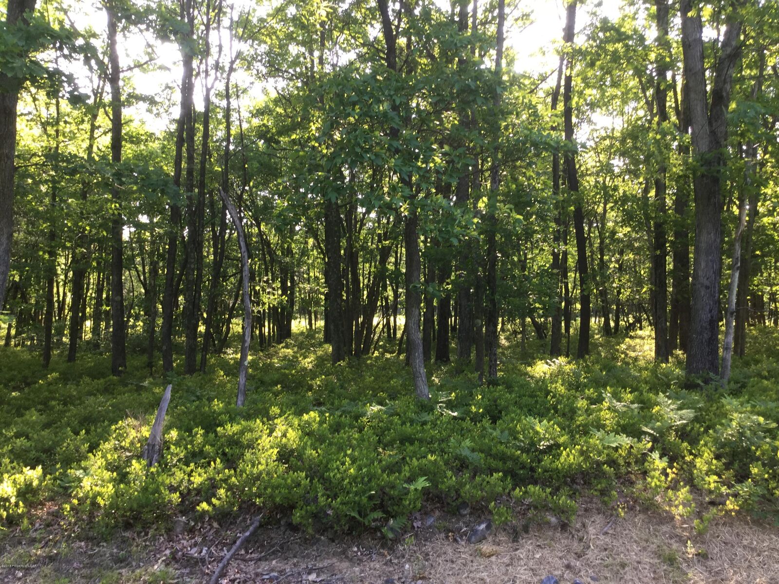 Property Photo: Tw Lot 107 Sweet Birch Drive PA 18202