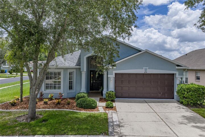 Property Photo:  4224 Branchside Lane  FL 33543 