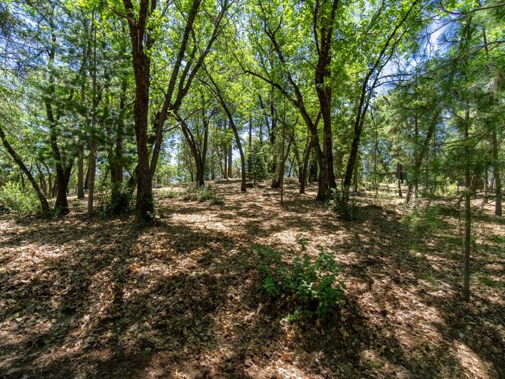 Property Photo: 5030 Irish Oak Lane CA 95667