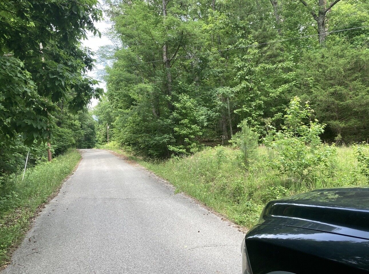 Property Photo: 0 Briarwood Drive TN 37061