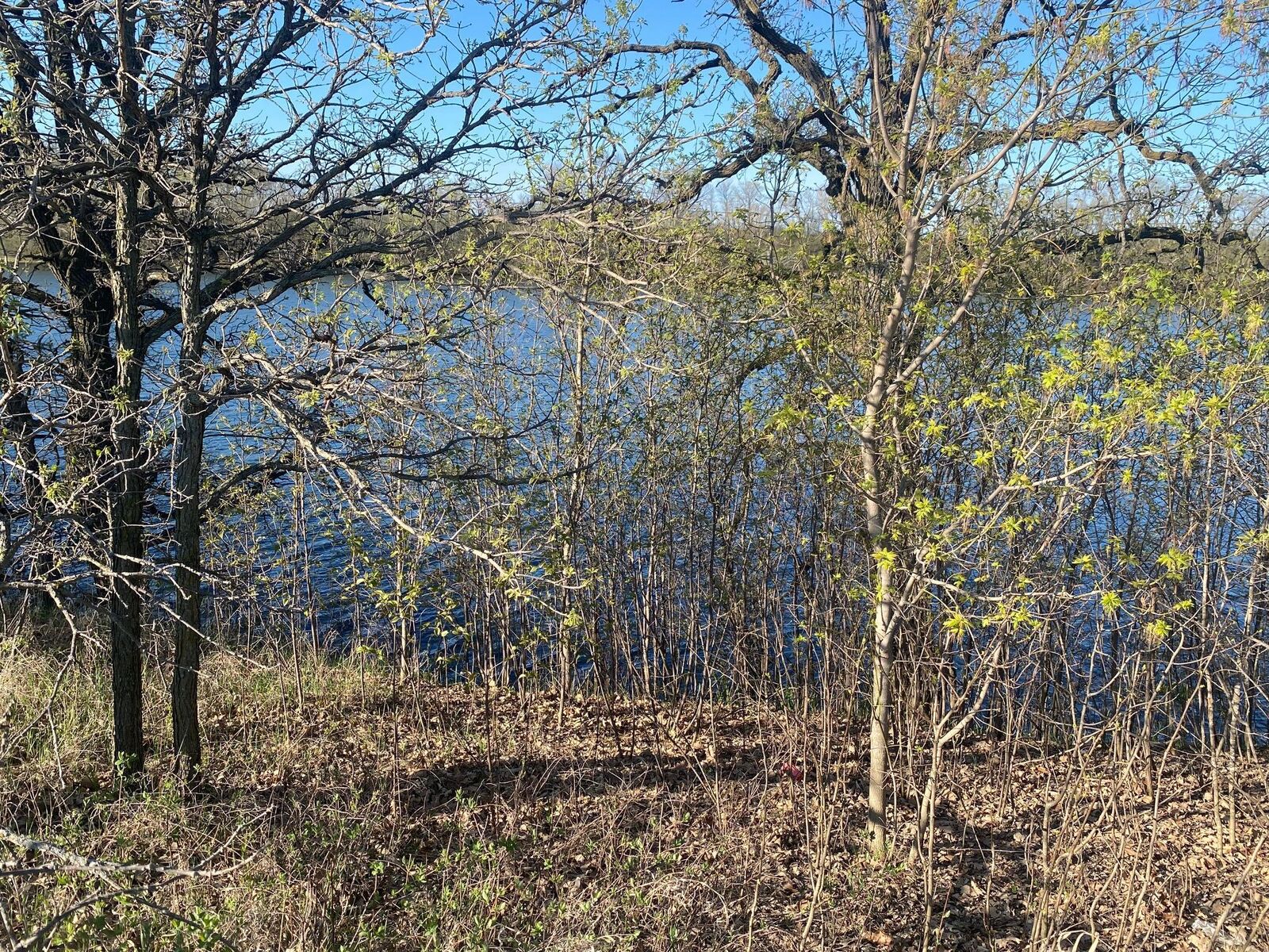 Property Photo:  429 W Walnut Avenue  MN 56544 
