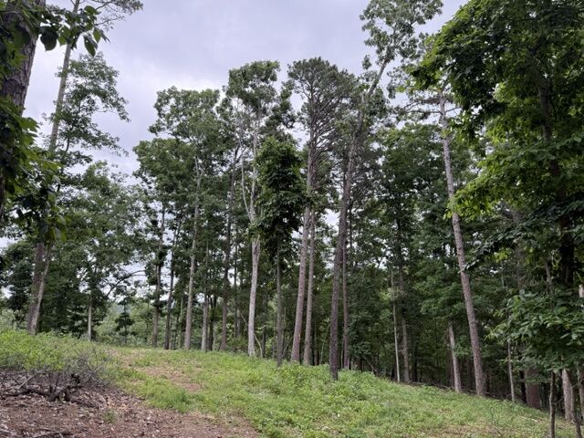 Property Photo: 17575 Sweeps Lane AR 72756