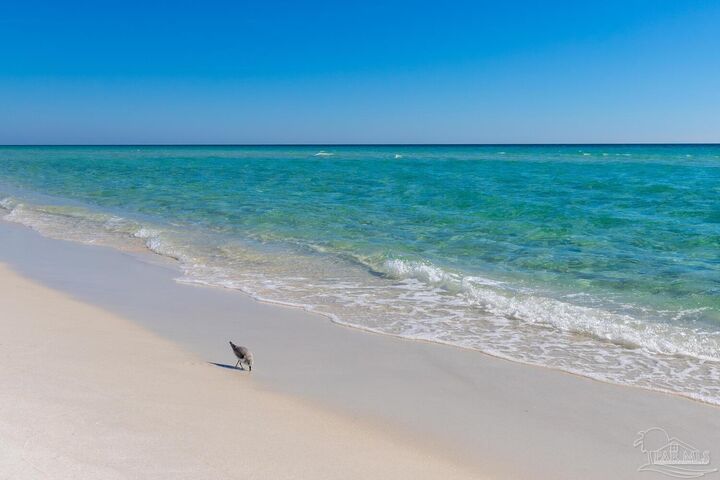Property Photo:  7889 Gulf Blvd  FL 32566 