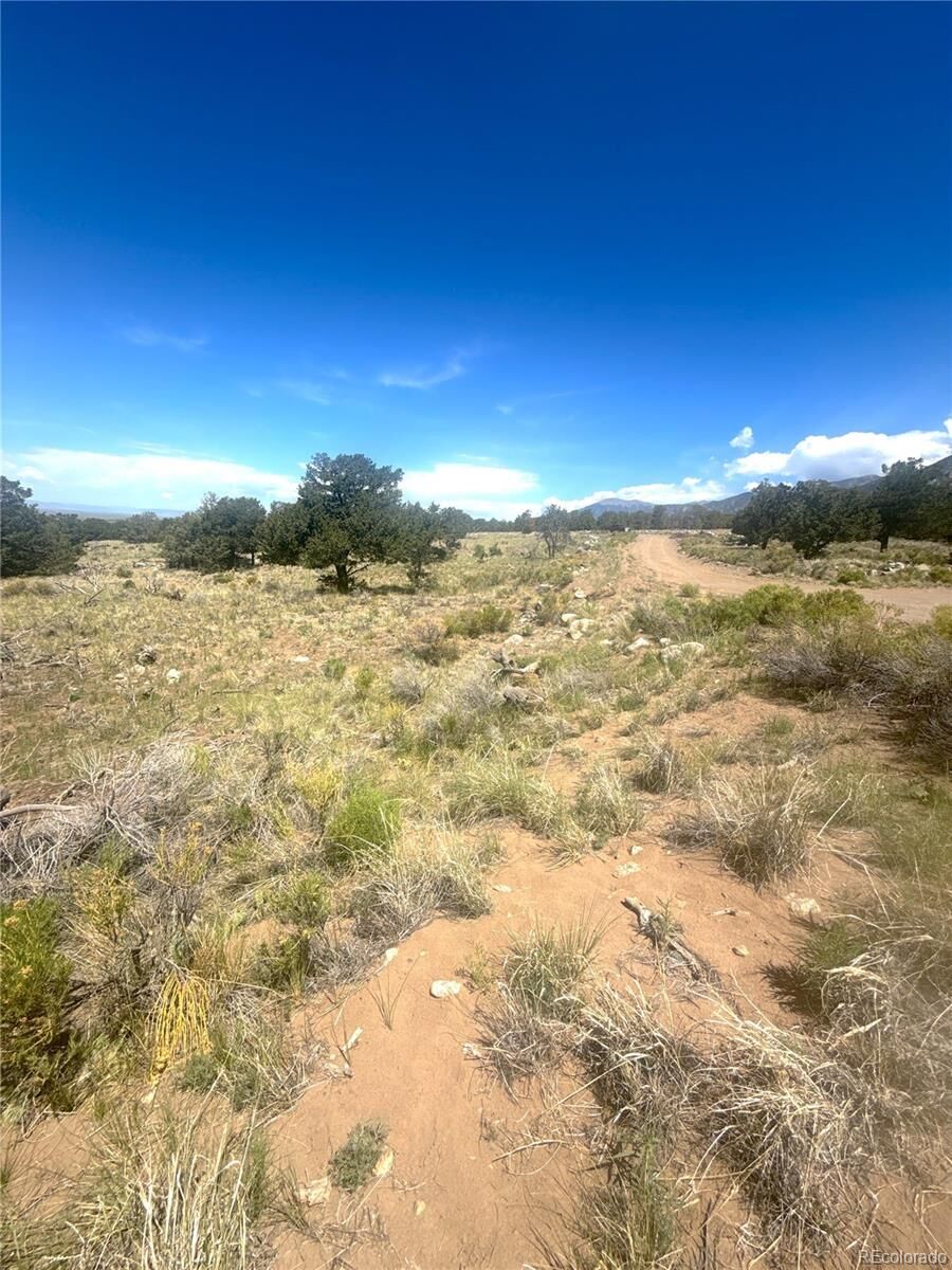 Property Photo:  4472 Greenview Court  CO 81131 