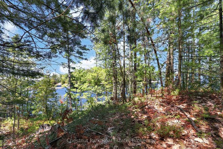 Property Photo:  1 Island 20ml Island  ON P1P 1R2 