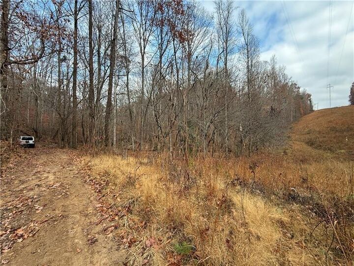Property Photo:  0 Falling Pines Road  GA 30533 