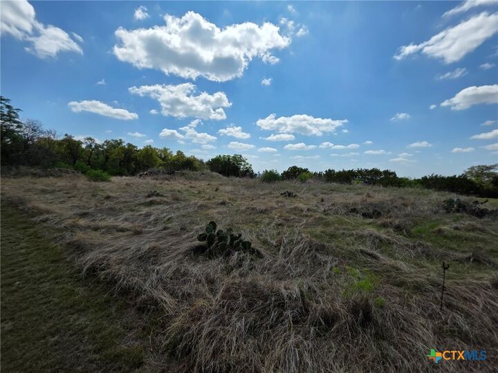 Property Photo: 21695 Fm 2484 TX 76542