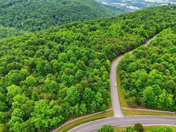 Property Photo: 0 Bluff View Drive TN 37327