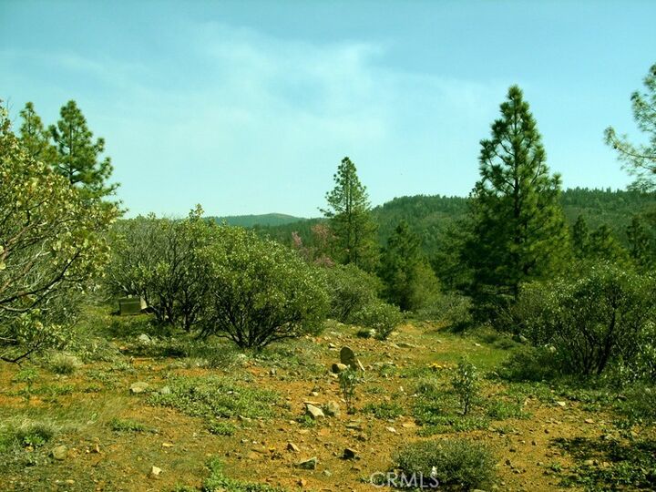 Property Photo:  36 Allen Way  CA 95919 