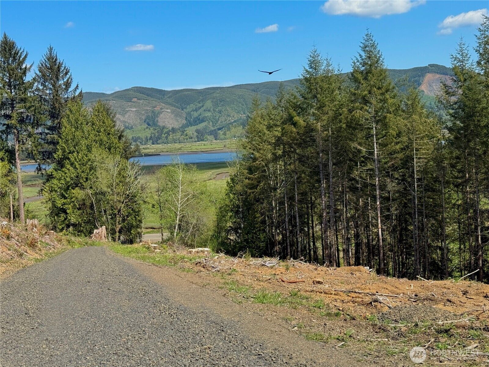 Property Photo: 8464 US Highway 101 WA 98586